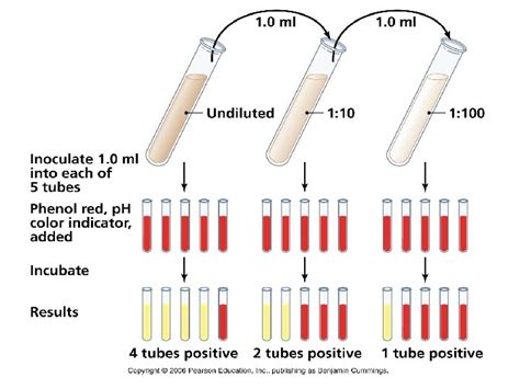 mpn test result interpretation|MOST PROBABLE NUMBER (MPN) ANALYSIS [.pptx .